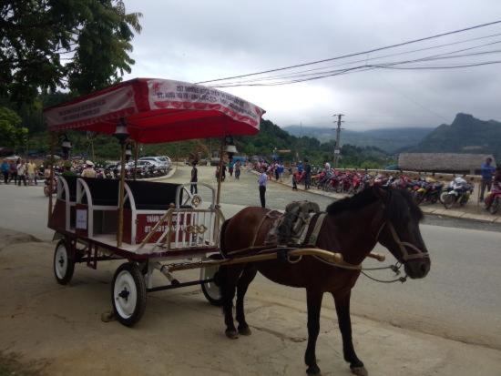 Ngan Nga Bac Ha Hotel Eksteriør billede